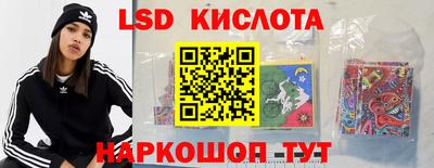 индика Пенза