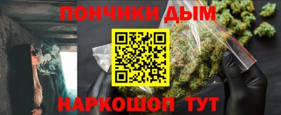 индика Пенза