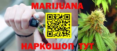 индика Пенза