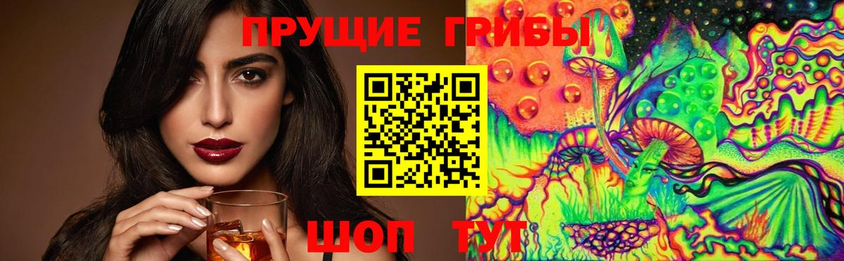 закладка  Галлюциногенные грибы мухоморы  Вход с VPN  Сосновый Бор  Псилоцибиновые грибы Psilocybe 