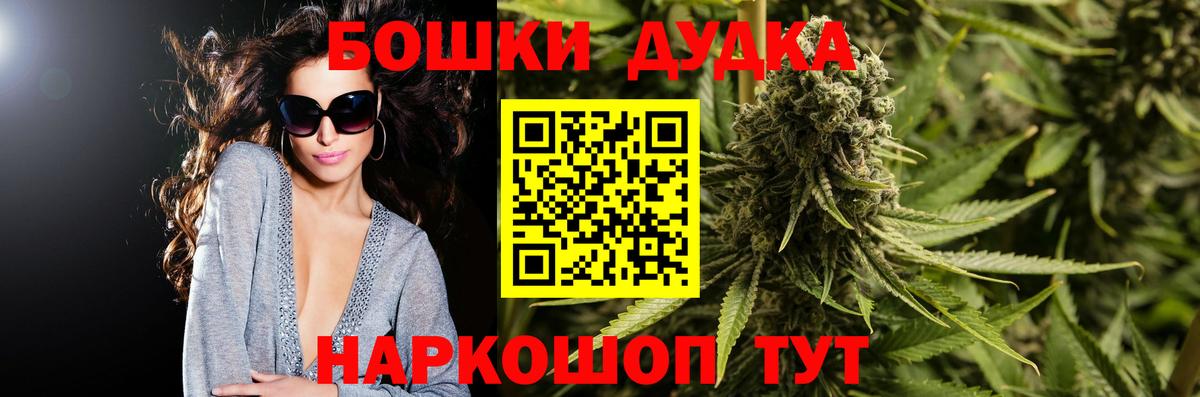 Каннабис планчик Сосновый Бор